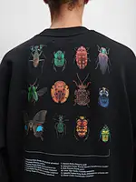 crewneck sweatshirts